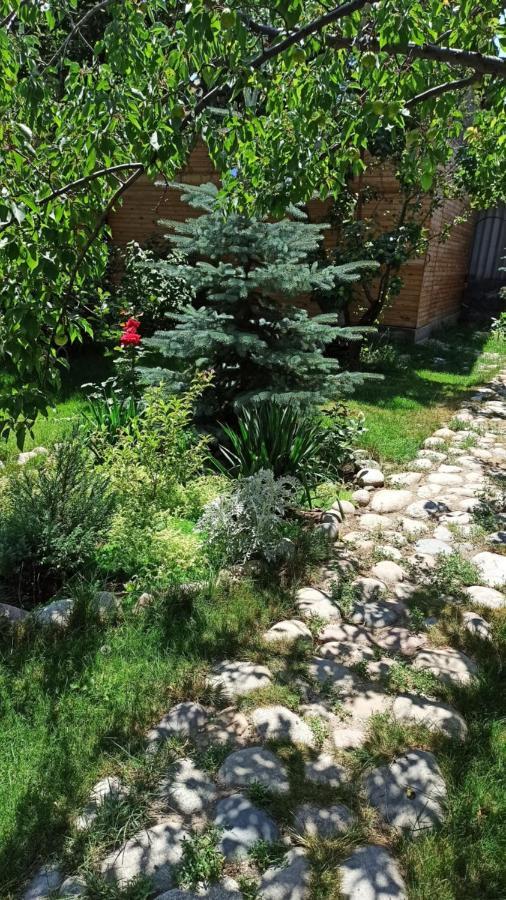 Evergreen Guesthouse Karakol Exterior foto